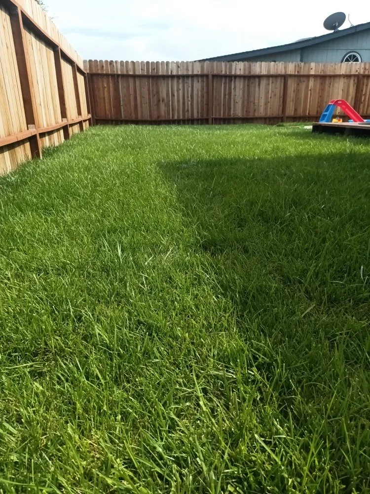 Local yard maintenance in Crescent City, CA by Lucky Sam's Lawn & Landscaping