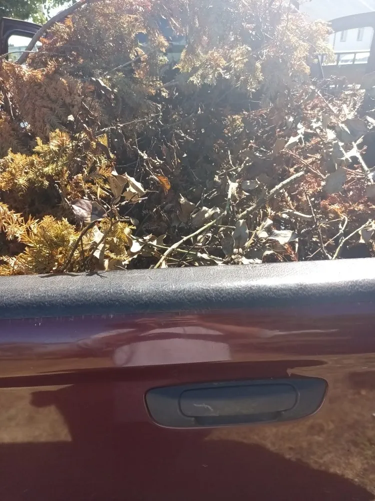 Trusted lawn care service near you in Crescent City, CA by Lucky Sam's Lawn & Landscaping