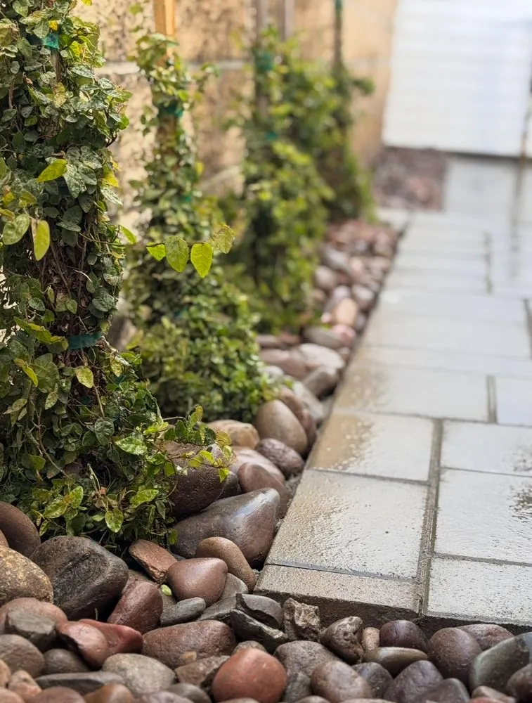 Professional garden landscaping for homes in Laguna Niguel, CA by Lucky Smartscape