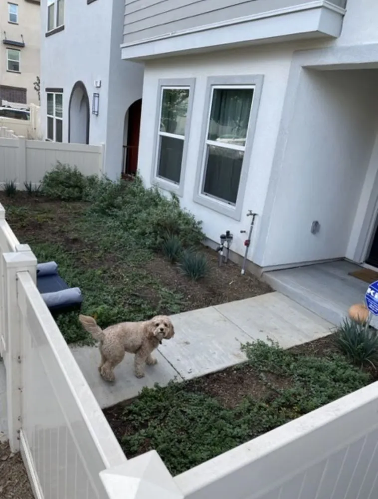 Reliable residential landscaping experts serving Laguna Niguel, CA - Lucky Smartscape