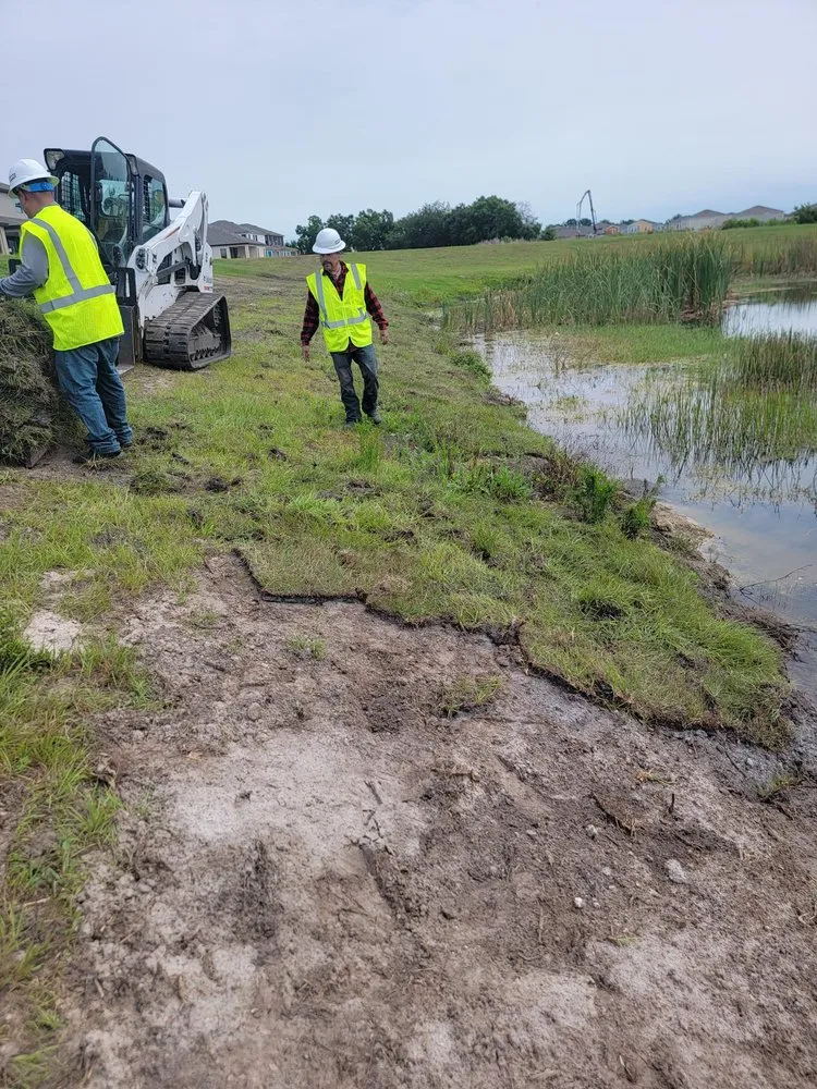 Reliable lawn care service in Sarasota, FL - Lucky Sod