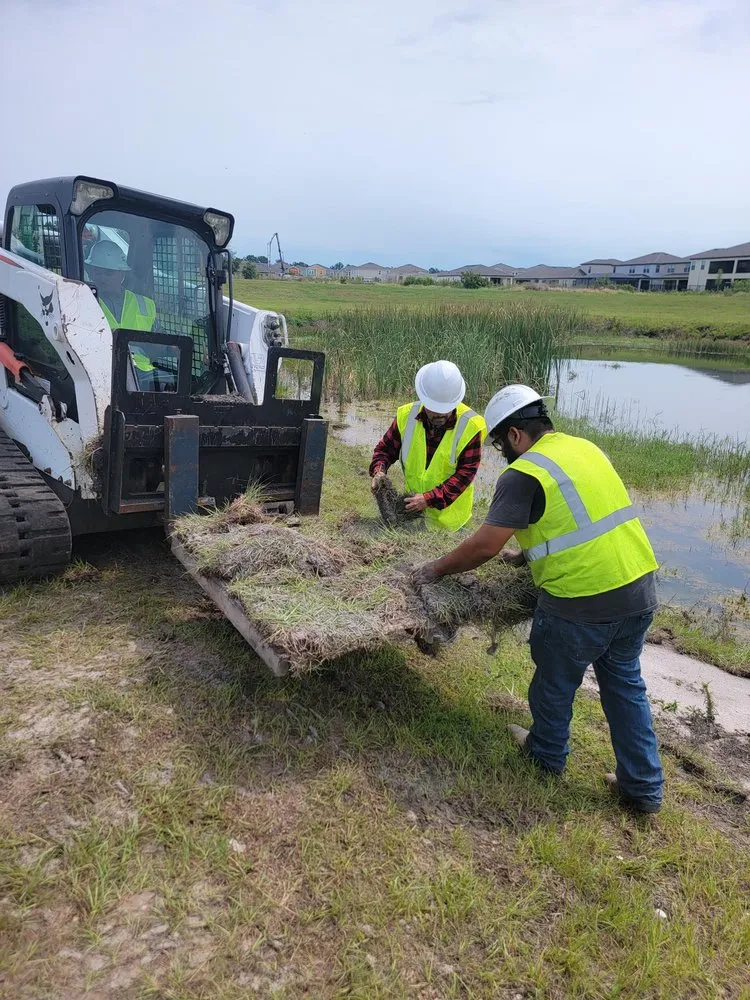 Trusted outdoor landscaping in Sarasota, FL by Lucky Sod