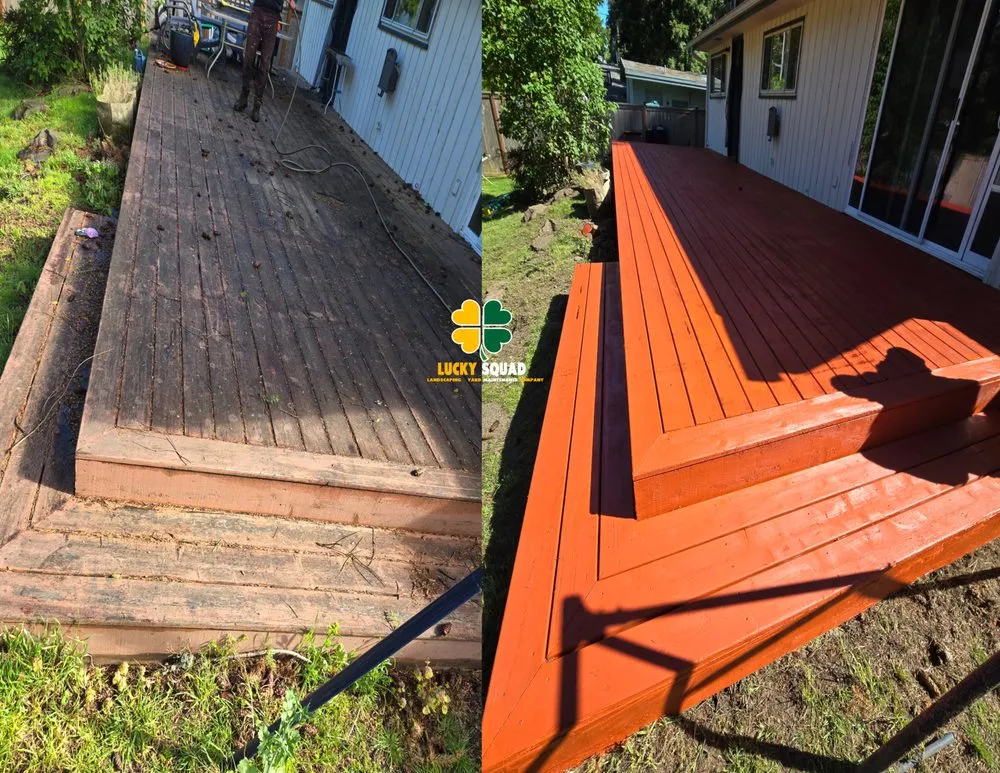 Local outdoor landscaping experts serving Federal Way, WA - Lucky Squad