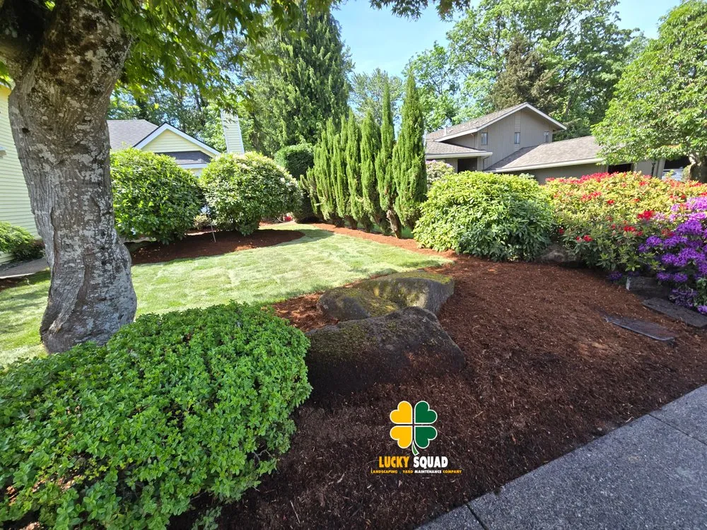 Professional landscape installation in Federal Way, WA by Lucky Squad