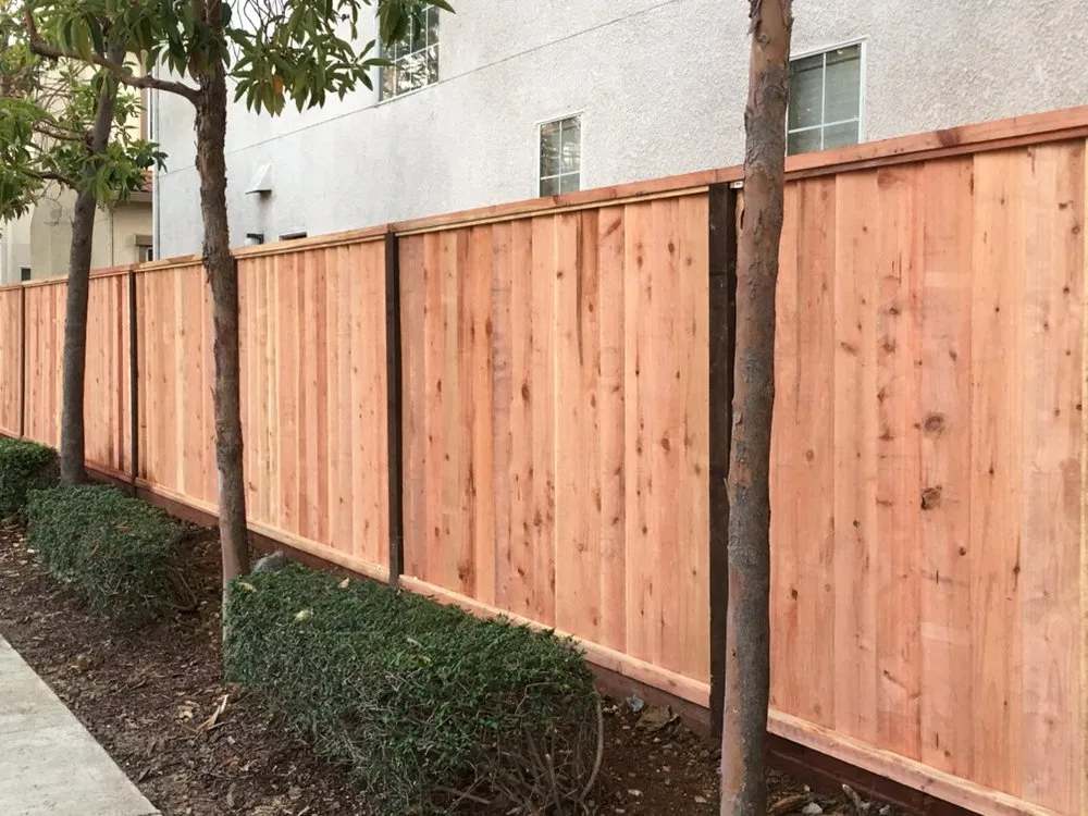 Affordable lawn care service for outdoor upgrades across Richmond, CA - Lucky Star Landscaping