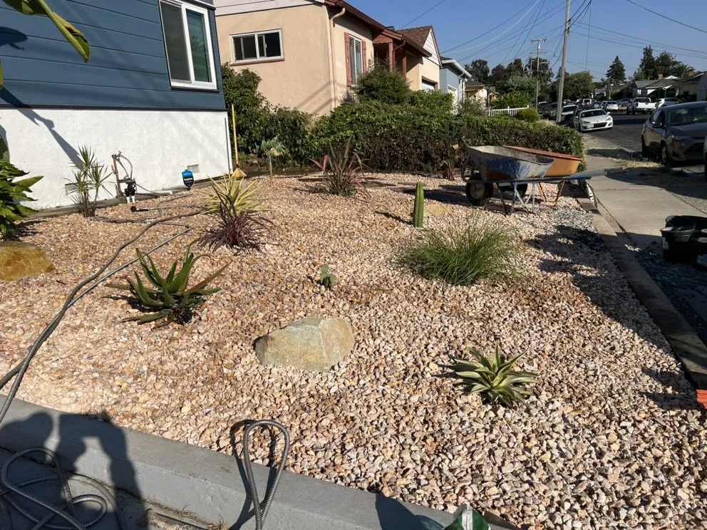 Expert landscaping services experts serving San Leandro, CA - Lucky Star Landscaping