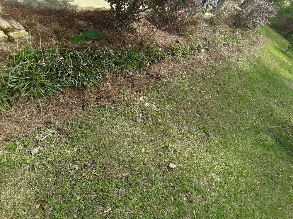 Custom residential landscaping for homes in Franklinton, LA by Lucky Stripes Lawn Service