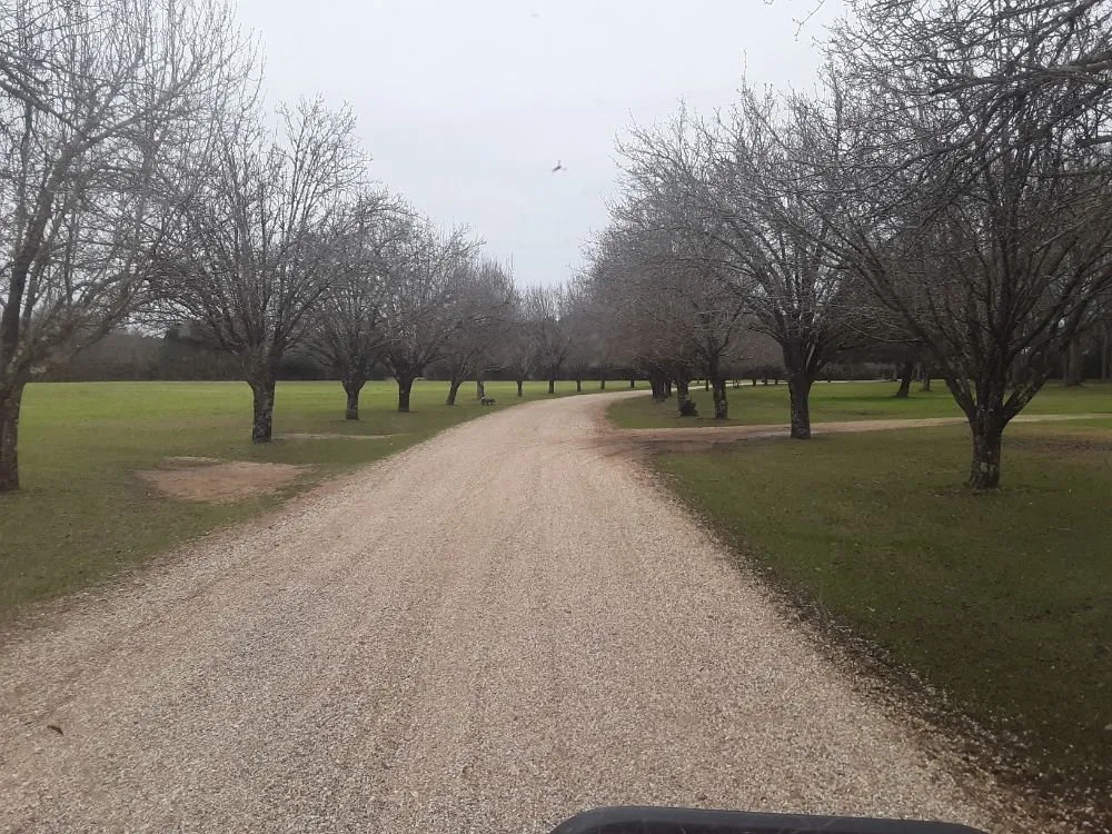 Top-rated landscape design for residential properties in Franklinton, LA by Lucky Stripes Lawn Service
