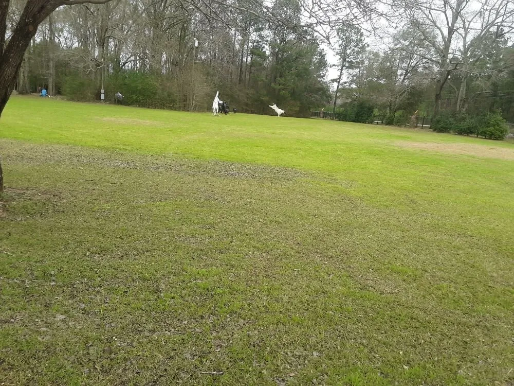 Local yard cleanup service experts serving Franklinton, LA - Lucky Stripes Lawn Service