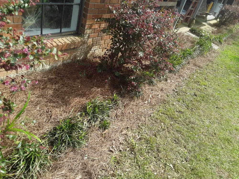 Expert lawn care service in Franklinton, LA by Lucky Stripes Lawn Service
