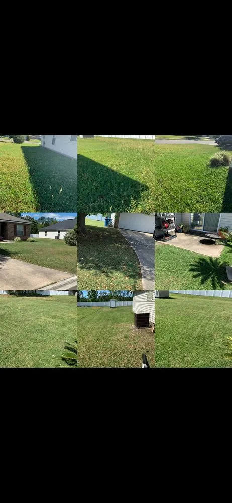 Reliable outdoor landscaping in Jacksonville, FL by Lucky Tony Lawn Service