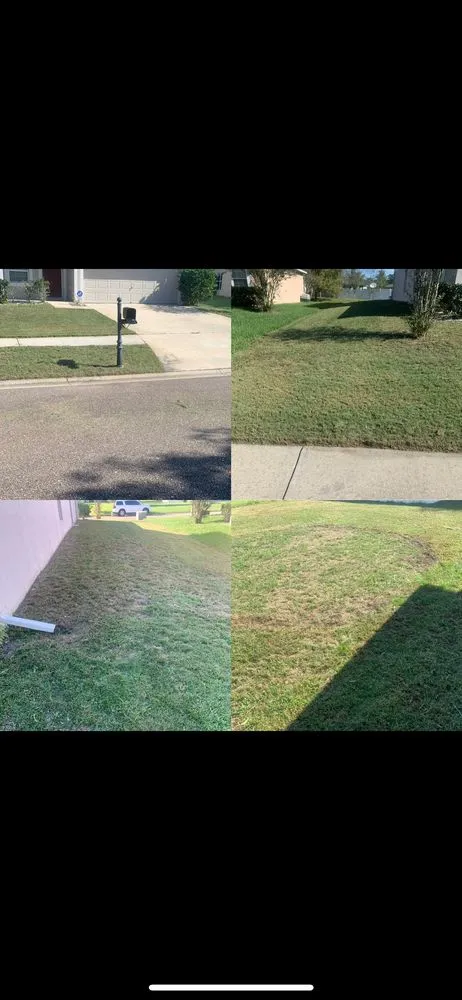 Local residential landscaping for residential properties in Jacksonville, FL by Lucky Tony Lawn Service