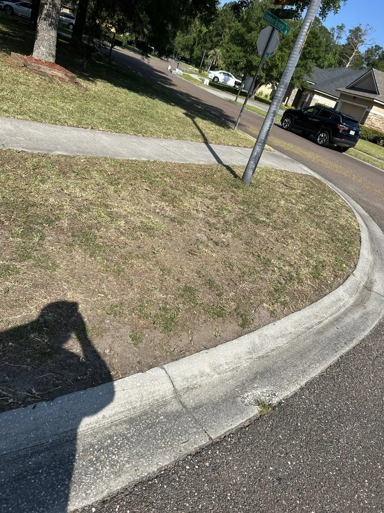 Top-rated yard cleanup service experts serving Jacksonville, FL - Lucky Tony Lawn Service