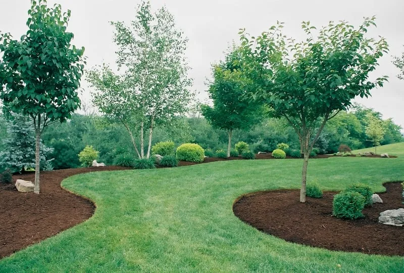 Top-rated outdoor landscaping for homes in Dedham, MA by Lucky Yew Landscaping