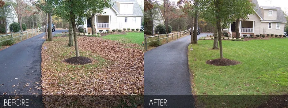 Top-rated yard maintenance in Dedham, MA - Lucky Yew Landscaping