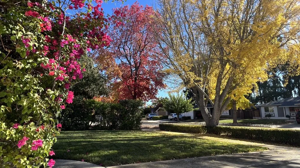 Trusted lawn mowing service in Modesto, CA by Lucky4 Landscape and Maintenance