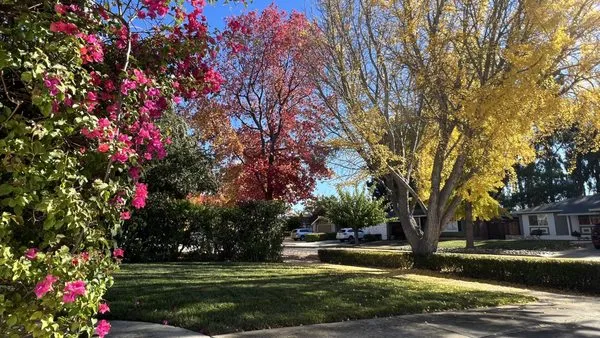 Lucky4 Landscape and Maintenance Logo