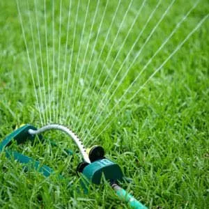 Expert yard cleanup service for year-round maintenance across Dallas, TX - Luckylawn Lawn Care