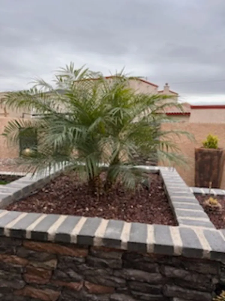 Local landscaping services in El Paso, TX by Lucky's Landscaping and Maintenance