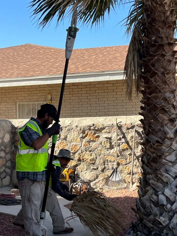 Professional lawn mowing service for outdoor upgrades across El Paso, TX - Lucky's Landscaping and Maintenance