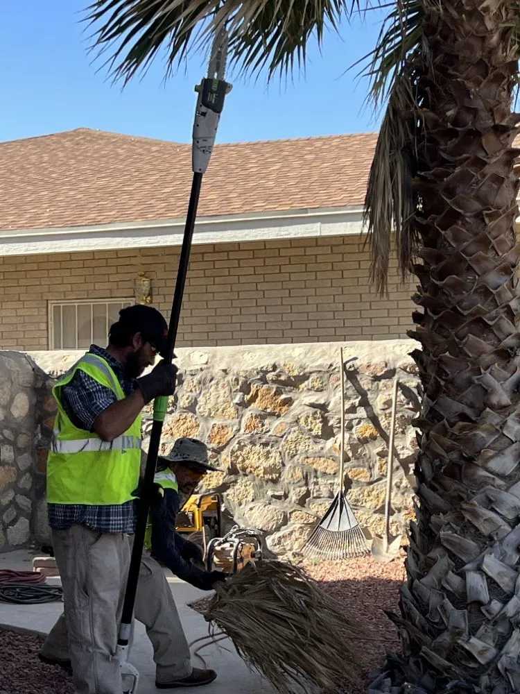 Affordable landscaping services experts serving El Paso, TX - Lucky's Landscaping and Maintenance