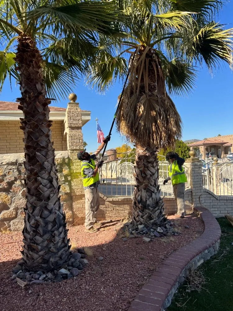 Trusted outdoor landscaping with custom design across El Paso, TX - Lucky's Landscaping and Maintenance