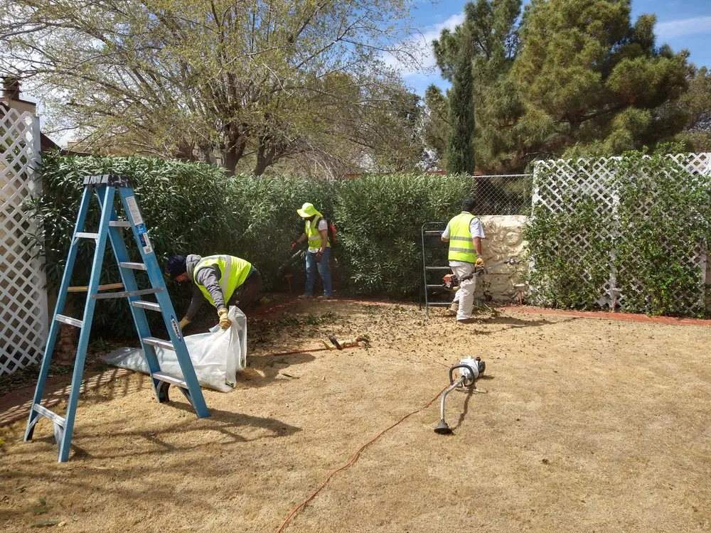 Local landscape installation experts serving El Paso, TX - Lucky's Landscaping and Maintenance