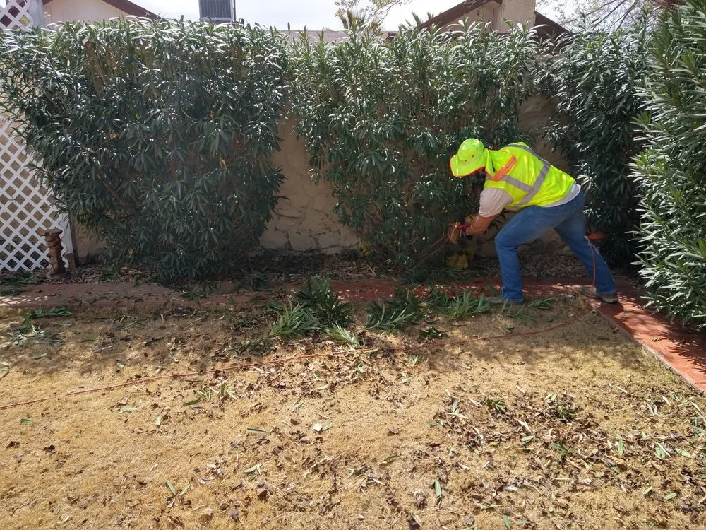 Trusted landscape design experts serving El Paso, TX - Lucky's Landscaping and Maintenance