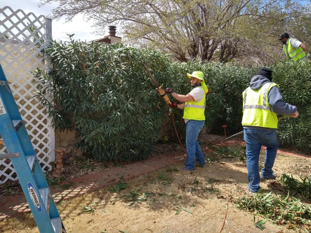 Top-rated garden landscaping for beautiful yards in El Paso, TX by Lucky's Landscaping and Maintenance
