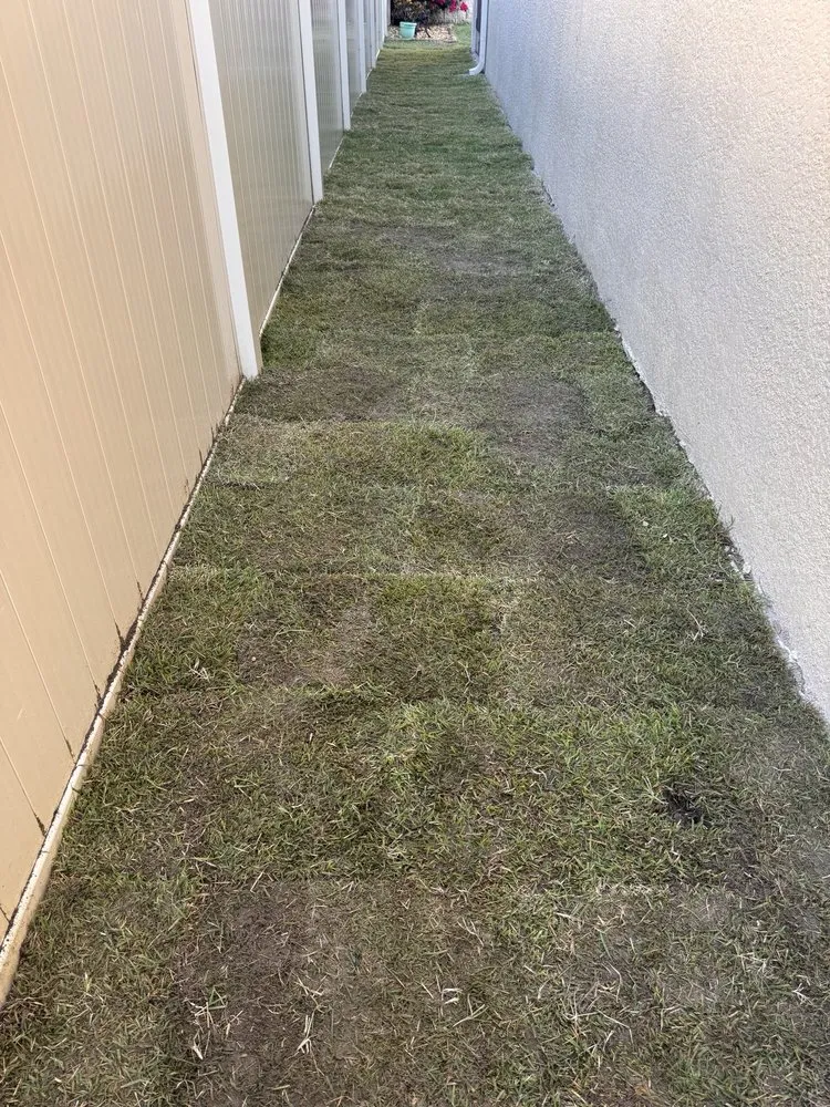 Affordable lawn care service for year-round maintenance in Clermont, FL by Luckys Landscaping