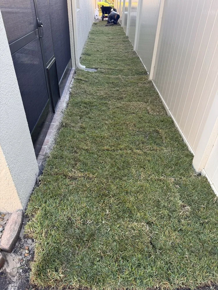 Expert yard maintenance in Clermont, FL - Luckys Landscaping