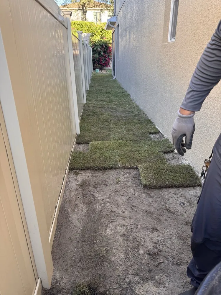 Local yard maintenance for beautiful yards across Clermont, FL - Luckys Landscaping