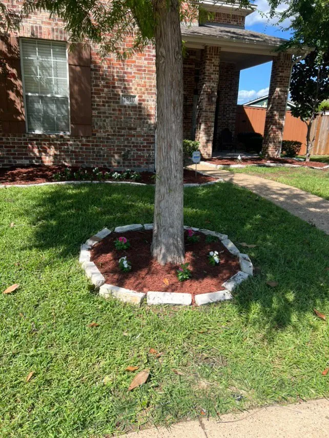 Expert lawn care service for residential properties in Irving, TX by Lucky’s Landscaping