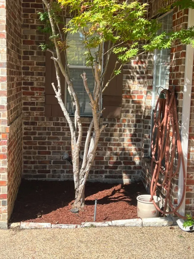 Custom garden landscaping in Irving, TX by Lucky’s Landscaping