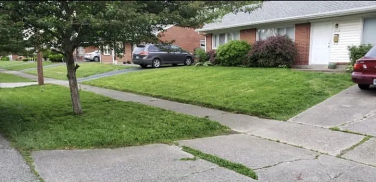 Local landscape installation in Louisville, KY by Lucky’s Lawn and Landscape