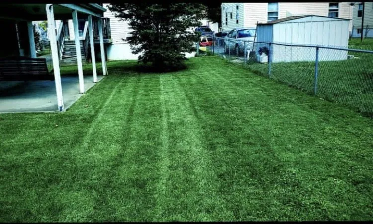 Professional lawn care service for residential properties across Louisville, KY - Lucky’s Lawn and Landscape