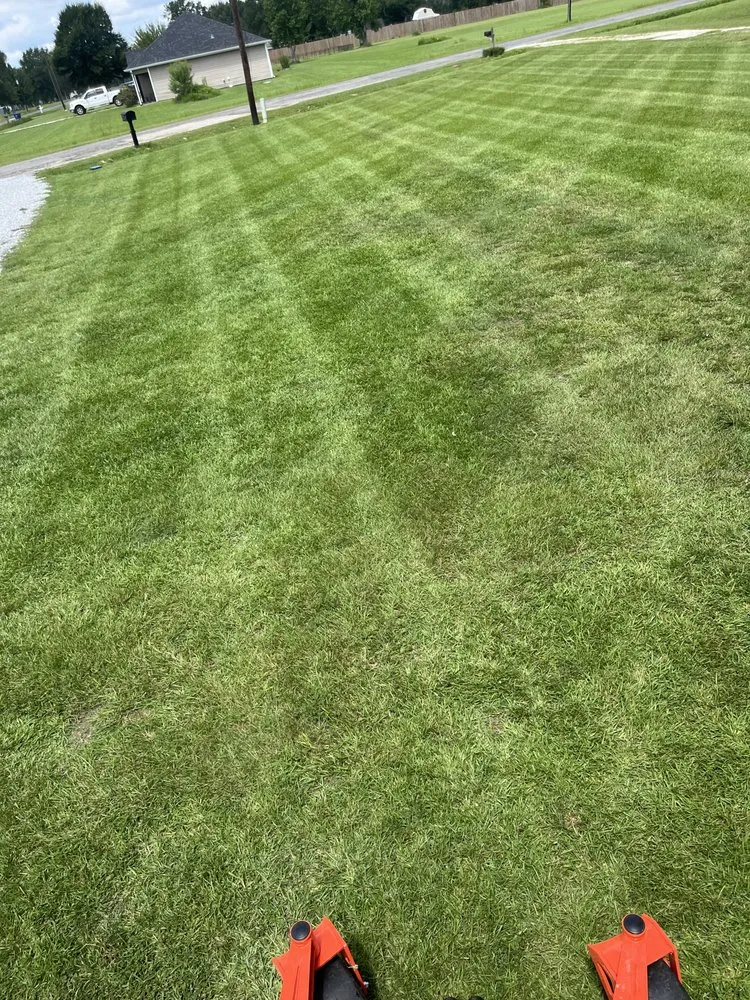 Professional landscape installation in Moss Bluff, LA by Lucky’s Lawn Care