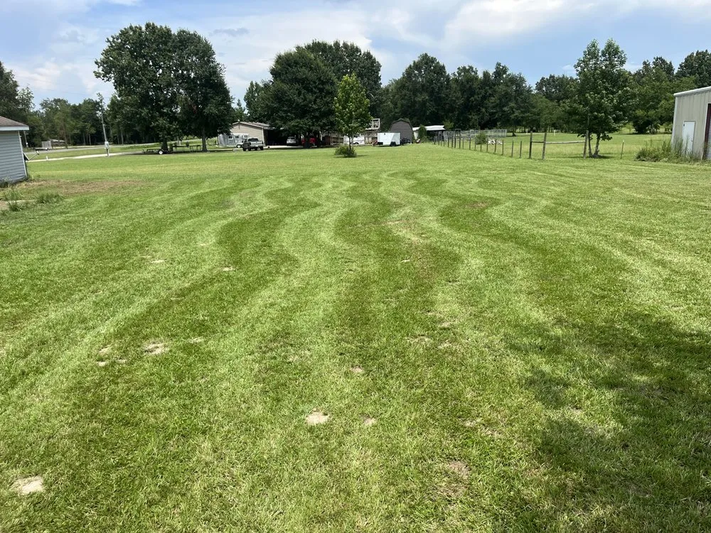 Expert landscape design for year-round maintenance in Moss Bluff, LA by Lucky’s Lawn Care