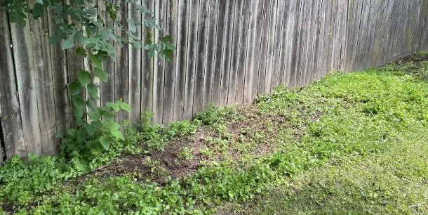 Expert outdoor landscaping experts serving Rockford, IL - Lucky’s Lawn Service