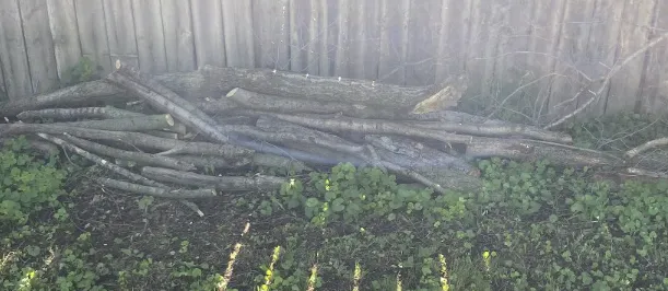 Expert landscape design in Rockford, IL - Lucky’s Lawn Service