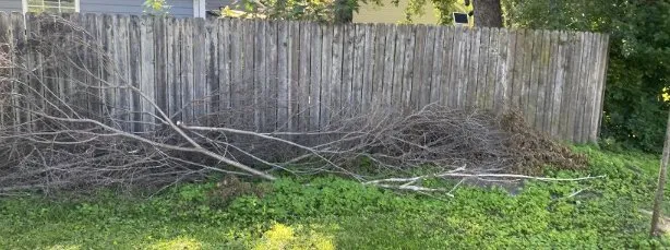 Affordable yard cleanup service in Rockford, IL by Lucky’s Lawn Service