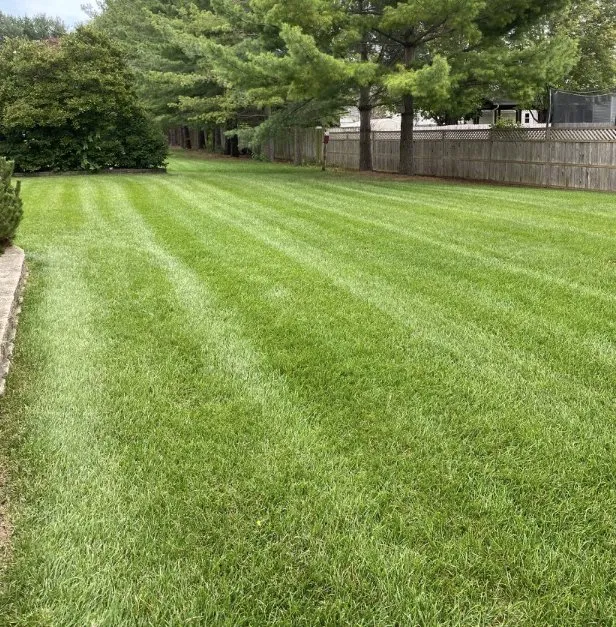 Professional residential landscaping for residential properties in Rockford, IL by Lucky’s Lawn Service
