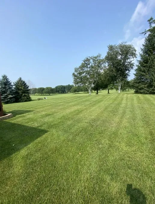 Professional yard cleanup service experts serving Rockford, IL - Lucky’s Lawn Service