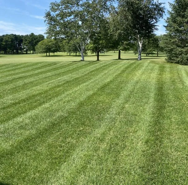 Trusted outdoor landscaping near you across Rockford, IL - Lucky’s Lawn Service