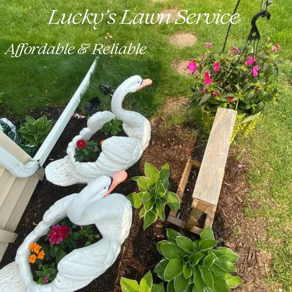 Top-rated yard maintenance experts serving Rockford, IL - Lucky’s Lawn Service