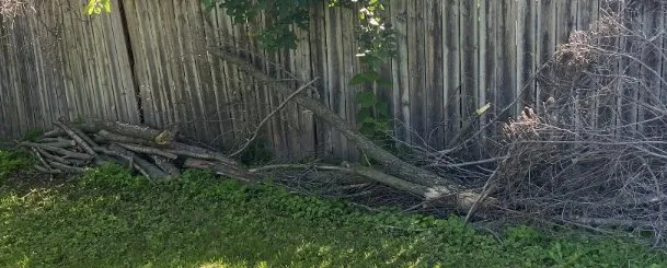 Professional residential landscaping for outdoor upgrades in Rockford, IL by Lucky’s Lawn Service