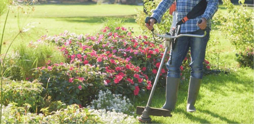 Trusted yard cleanup service for year-round maintenance in Kingston, OK by Lucky’s Mowing Services