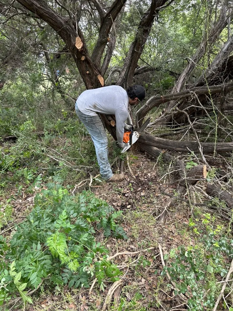 Local landscaping services experts serving Waco, TX - LUCO Landworks