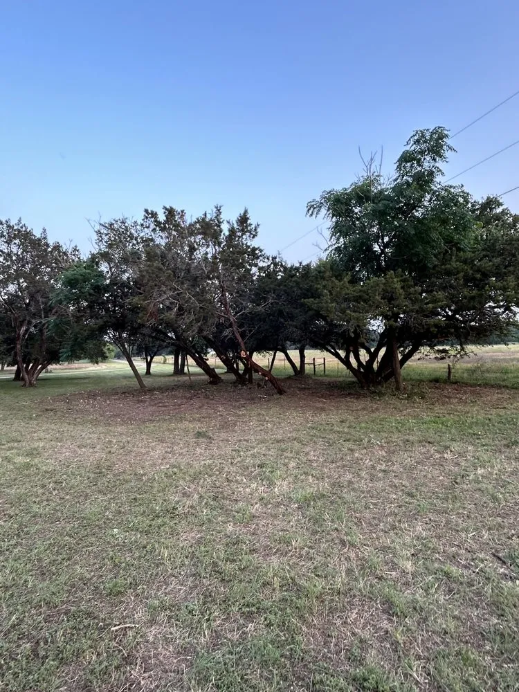 Reliable garden landscaping for beautiful yards in Waco, TX by LUCO Landworks