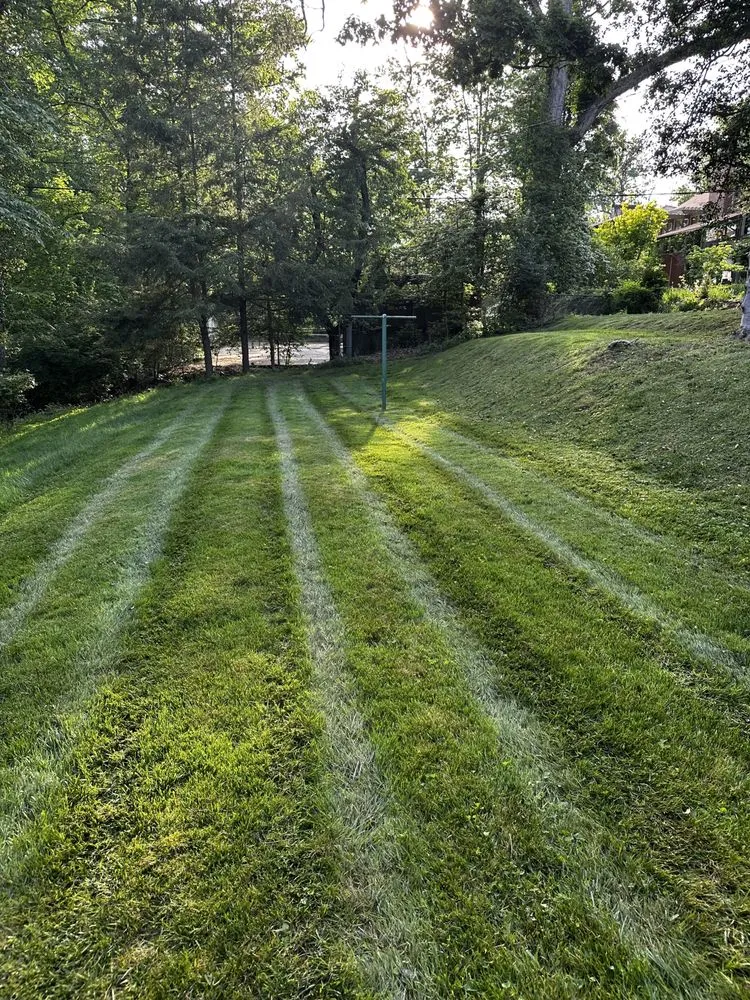 Trusted landscape design for beautiful yards across Proctorville, OH - Luco Lawn Care & Pressure Washing